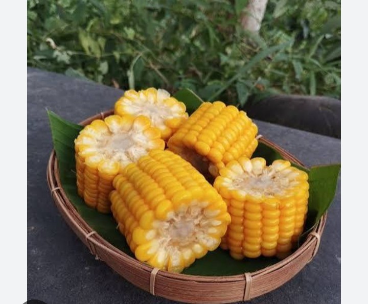 Jagung Rebus